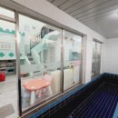 비비키즈풀빌라 이미지