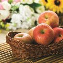 라탄공예 이미지