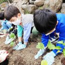 화개초왕성분교 이미지