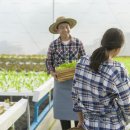 도시탈출 이미지