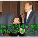 오잔디