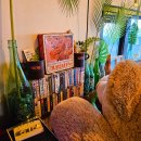 맥심다방 이미지