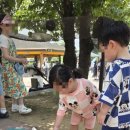 팜랜드동물병원 이미지