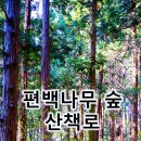 나무병원건강한숲 이미지