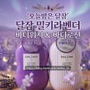 애니바디 - 12586 | 해피바스달잠 밀키라벤더 바디워시 바디로션 후기 향좋은힐링템 추천
