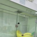 똥개애견카페 이미지