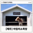 인원목장 | 입장료 무료 제주 아침미소목장, 송아지 우유주기 실패 후기