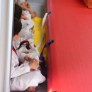 경희대 태권도장 이미지