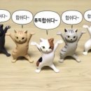 가자