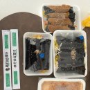리틀꼬마김밥 아양점 | 안성 리틀꼬마김밥아양점 : 참치꼬마김밥 참치샐러드꼬마김밥 라볶이 유부꼬마김밥