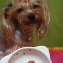 랑이네식탁 이미지