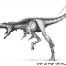 Tiny T. rex fossil discovery startles scientists 이미지