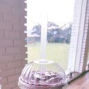 Cafe Bee(카페 비) 이미지