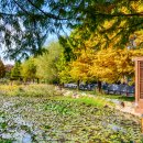 구렛들1길 이미지