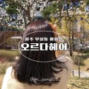 오르다헤어 이미지