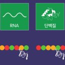 이즈메디칼 이미지