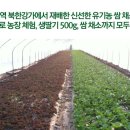 송촌1리 마을회관 이미지