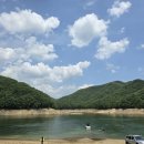 미라실로 이미지