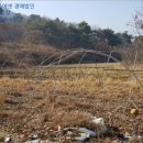 장암면지토리보건진료소 이미지