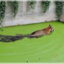 달성공원 이미지