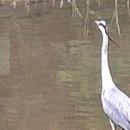 서2 徐傳武0618일색착한나무# 이미지