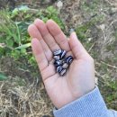 모두의밥상 이미지