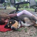 우리집강아지 이미지