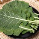 산해 이미지
