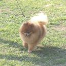 큰아들 Daum카페