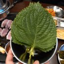 세븐일레븐 수원인계중앙점 | 레트로한 분위기의 숯불구이 인계동고기집 수원고기랜드 인계본점 리뷰