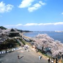 어린왕자게스트하우스 이미지