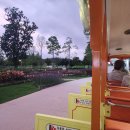 (기획투어)나이트가든투어 이미지