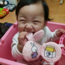 정인디자인 이미지