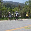 부일민박 이미지