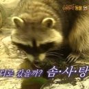 한상궁왕족발