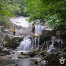 은둔의 유토피아에서 하룻밤, 인제 방태산자연휴양림과 하추자연휴양림 이미지