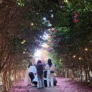 남국농장 | 제주도 여행코스 아이와 체험하기좋은 유진팡 제주신규관광지