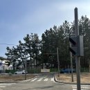 동해대로4-L 이미지