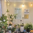 척추자세교정걷기테라피 이미지