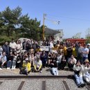 평화5(쌍둥이) 이미지