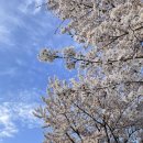 용평사거리 이미지