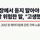 모소밤부