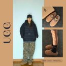 컬리브라운(Curly Brown) | 어그 타스만 맥시 컬리 슬리퍼 체스트넛 후기 올겨울 따뜻함 끝판왕