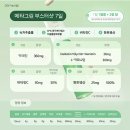 설날 맞이, 바이탈뷰티 메타그린 부스터샷으로 미리 준비하기 (Feat. 제이제이살롱드핏)