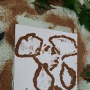 양구아름다운동행요양원 이미지