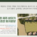 판포바람 이미지