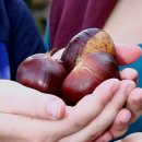 송림황토가든 이미지