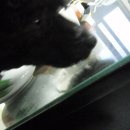 탕수육드세요 이미지