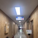 단풍나무짐 | 대전 만인산 자연휴양림:네모집, 단풍나무집 후기