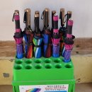 백송이꽃화원 | 충남 예산 추사 김정희 고택에서 목련,매화,수선화를 함께 볼 수있어요.